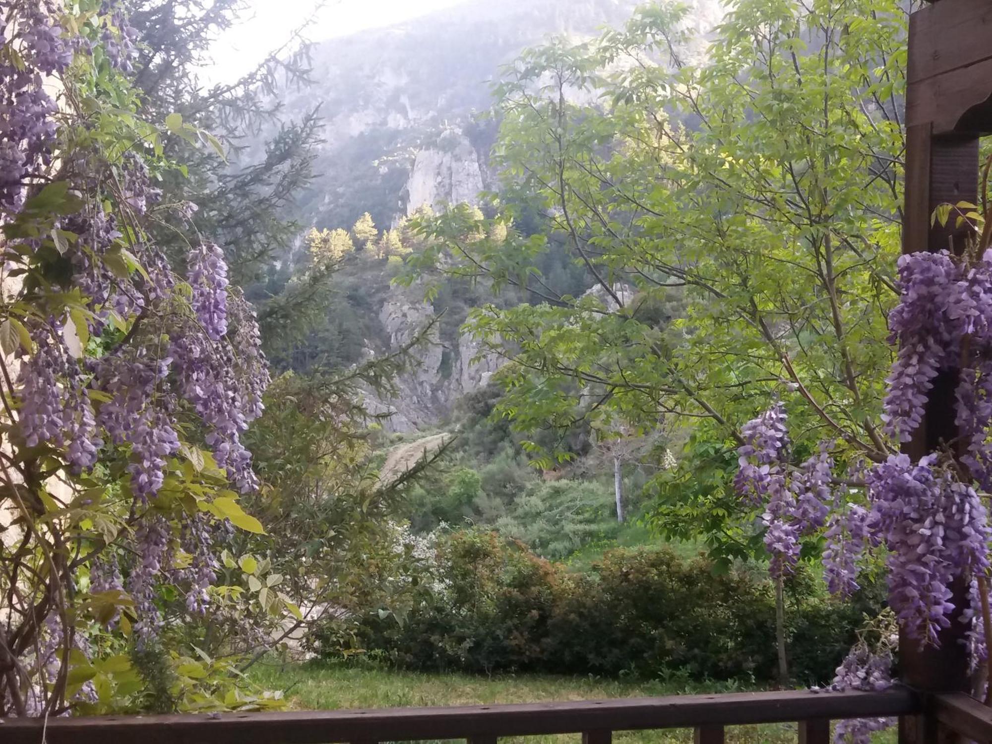 上特里卡拉Εν Αρχή - En Arhi别墅 外观 照片